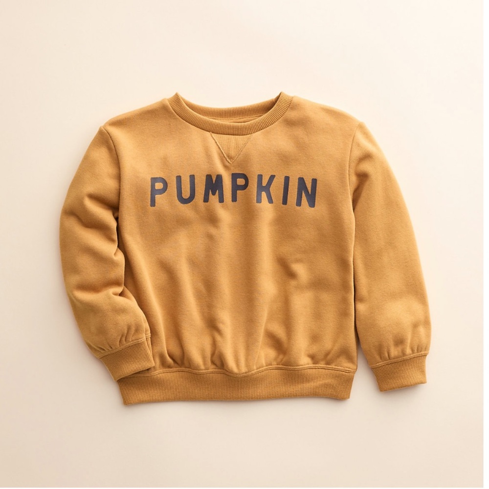 Little Co. by LC Lauren Conrad Pullover Pumpkin Fleece Sweatshirt Size 4T